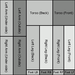 body skin template