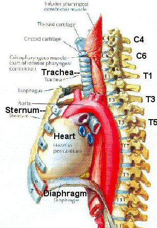 Oh okay I'll put the diagram here, but there is more info on that previous 