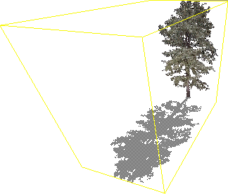 bounding-boxed shadowed tree3m